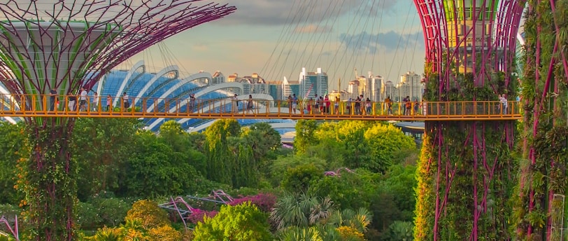 Singapore Airlines: Analyzing the Benefits, Drawbacks, and Pricing Strategy